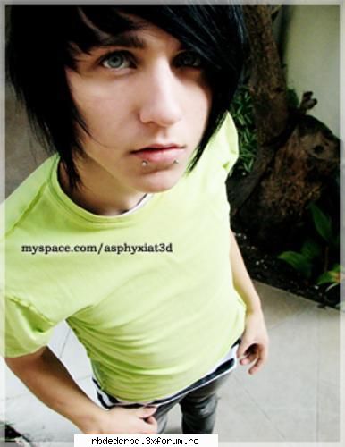 alex evans tinker bell-administrator