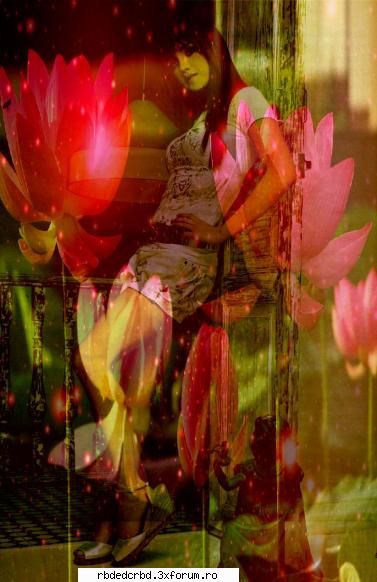 BANNERS BY CRISTINA - anahi_dulce - ART ZONE