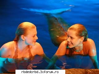 H2O - crys_01 - Arhiva