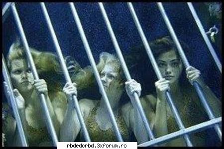 H2O - stefy-princess - Arhiva