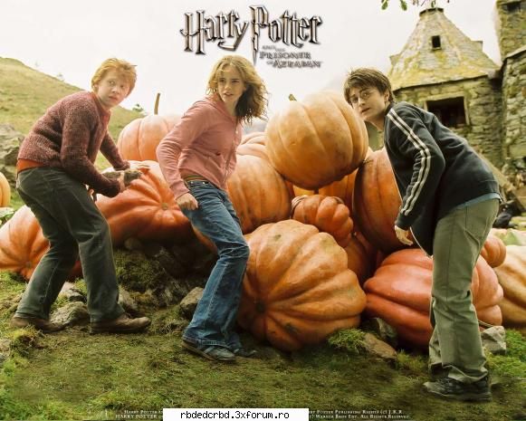 HARRY POTTER - anahi_dulce - FILME/SERIALE