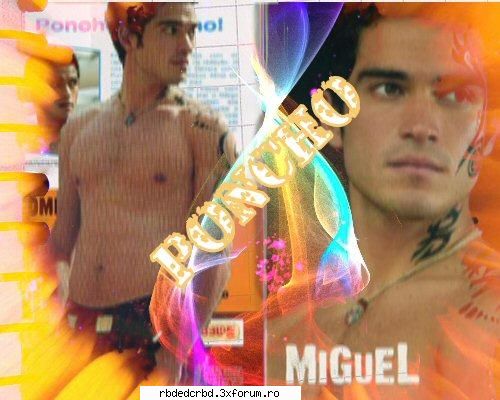 new cu ponchis banners by cristina